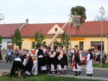 Stavanie májov 2013 (14) Stavanie májov 2013 (14)