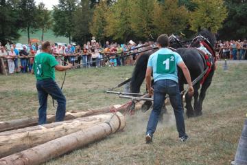XI.ročník Furmanskej súťaže ťažných koní O valašku (8) XI.ročník Furmanskej súťaže ťažných koní O valašku (8)