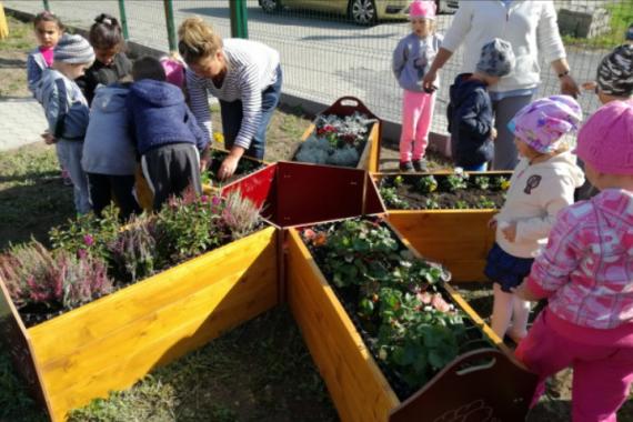 Deti s učiteľkami nad záhonmi s kvetmi a bylinkami Deti s učiteľkami nad záhonmi s kvetmi a bylinkami