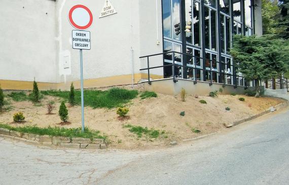 Dom smútku a vysadené dreviny pred ním Dom smútku a vysadené dreviny pred ním