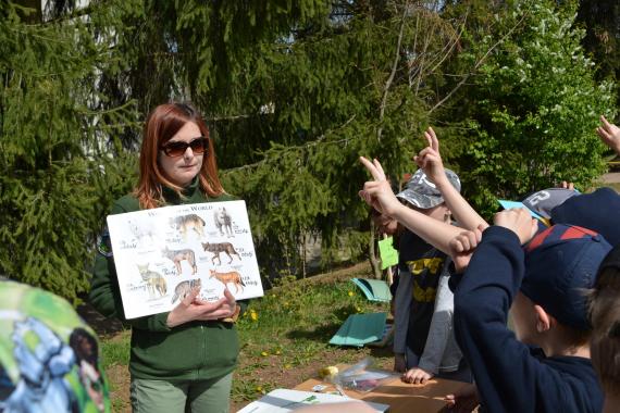 Pracovníčka Správy CHKO BR Poľana vysvetľuje deťom vlky Pracovníčka Správy CHKO BR Poľana vysvetľuje deťom vlky