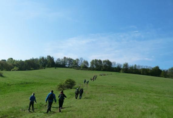 Turisti kráčajú lúkou hore Turisti kráčajú lúkou hore