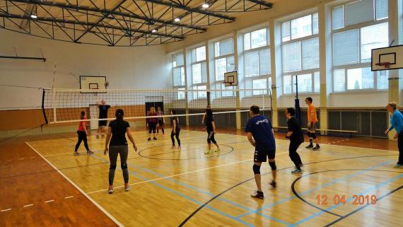 Hráči a hráčky volejbalu počas hry v telocvični Hráči a hráčky volejbalu počas hry v telocvični